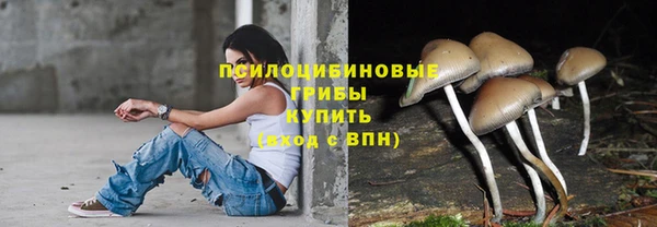 мяу мяу мука Дмитровск