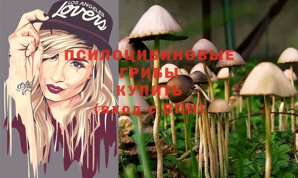 мяу мяу мука Дмитровск