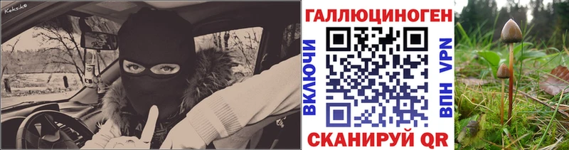 Купить где  Кириллов  Псилоцибиновые грибы Psilocybine cubensis 